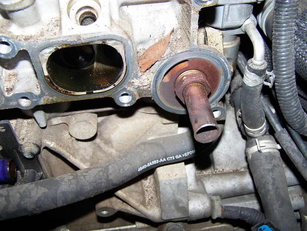 How to install Massive Speed EGR delete plate. Focus Fanatics Forum